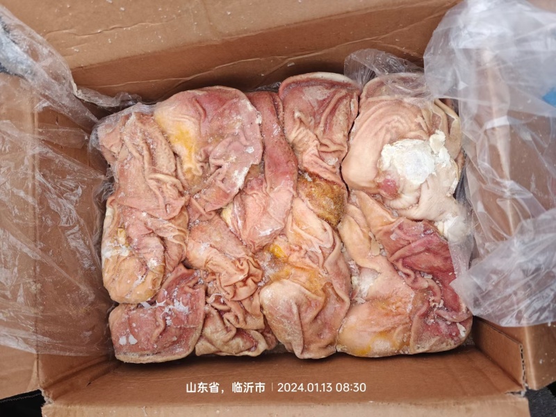 国产猪肚10几块钱一斤