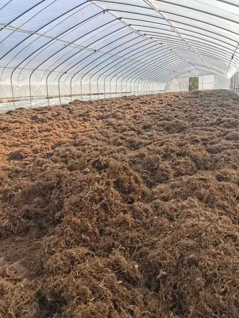露水草（干品）产地直发品质好需要的老板电话
