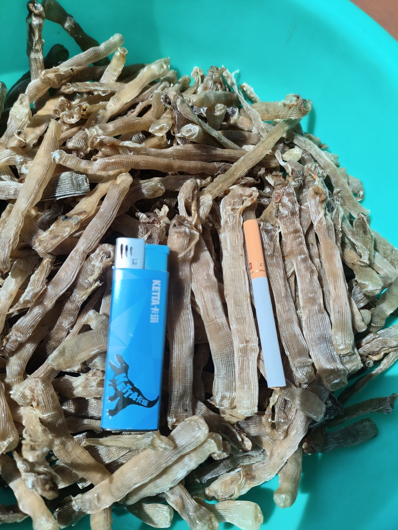 北海自家每天新鲜加工出炉大沙虫干批发零售