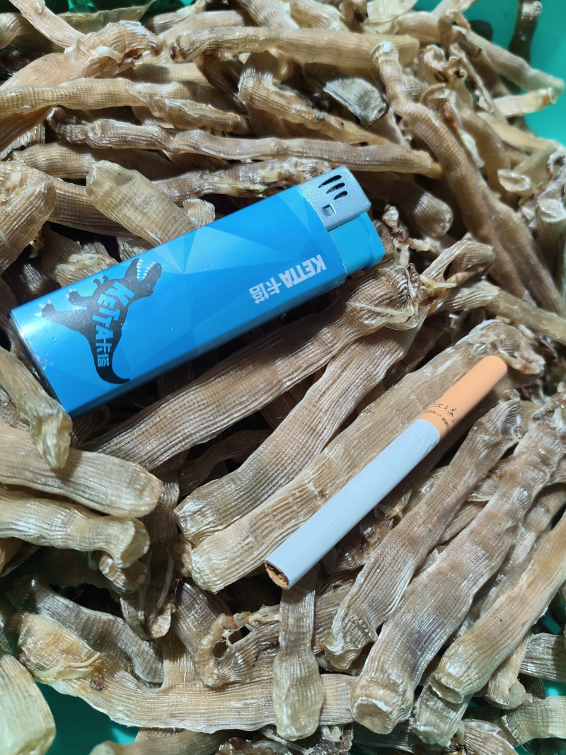 北海自家每天新鲜加工出炉大沙虫干批发零售