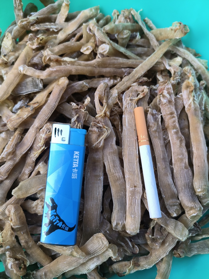 北海自家每天新鲜加工出炉大沙虫干批发零售