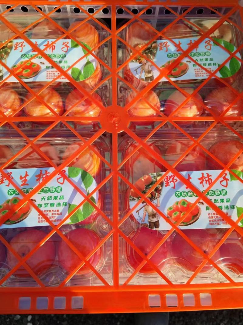 河南三门峡灵宝火罐柿子大量有货欢迎新老客户来电咨询