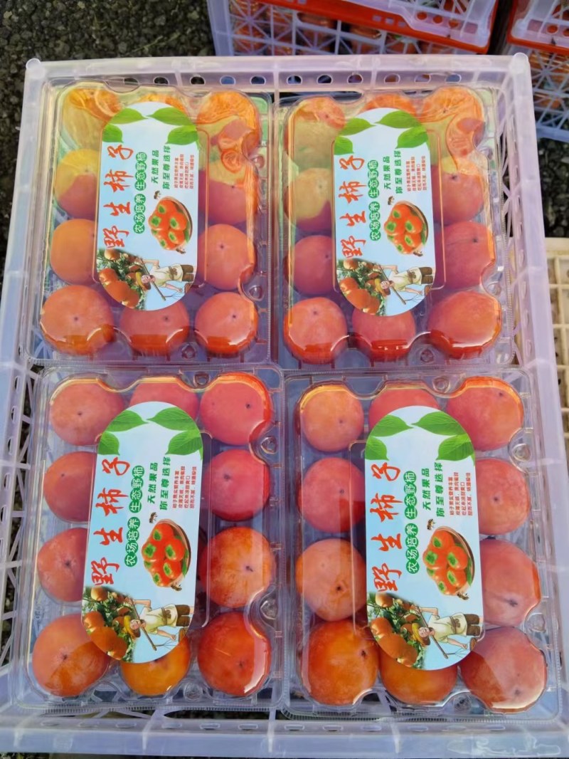 河南三门峡灵宝火罐柿子大量有货欢迎新老客户来电咨询