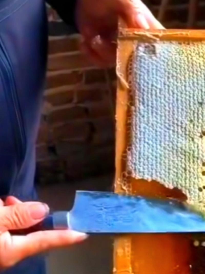 湖南土蜂蜜中蜂蜂蜜精品蜜产地货源价格优惠欢迎来电