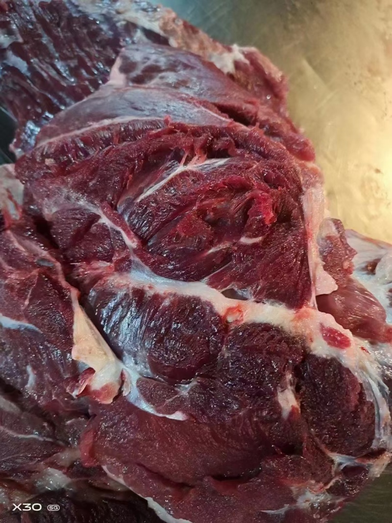 驴肉