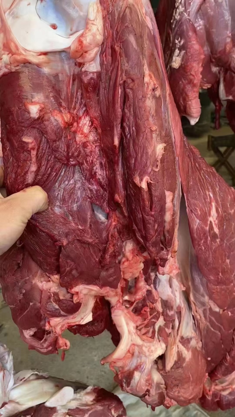 驴肉