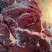 驴肉