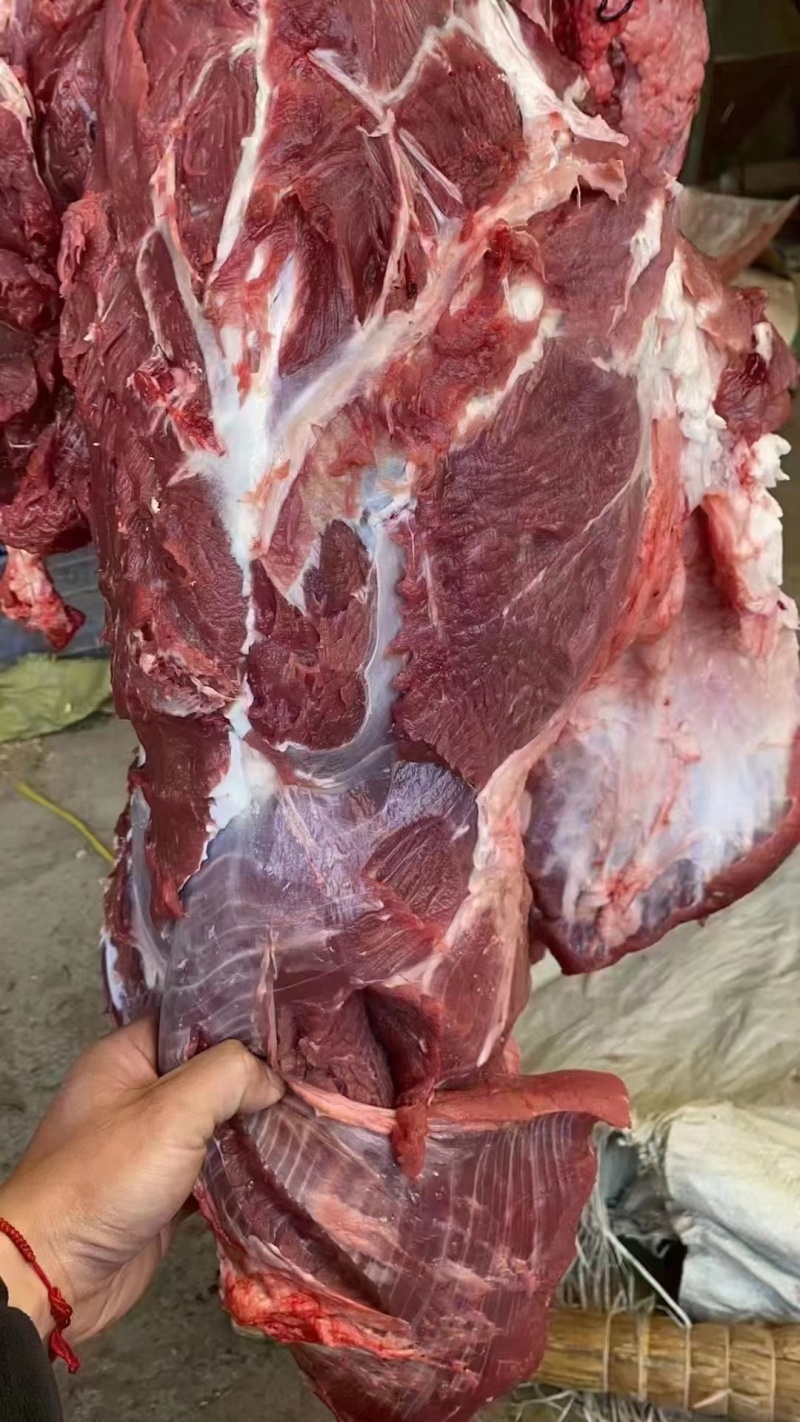 驴肉