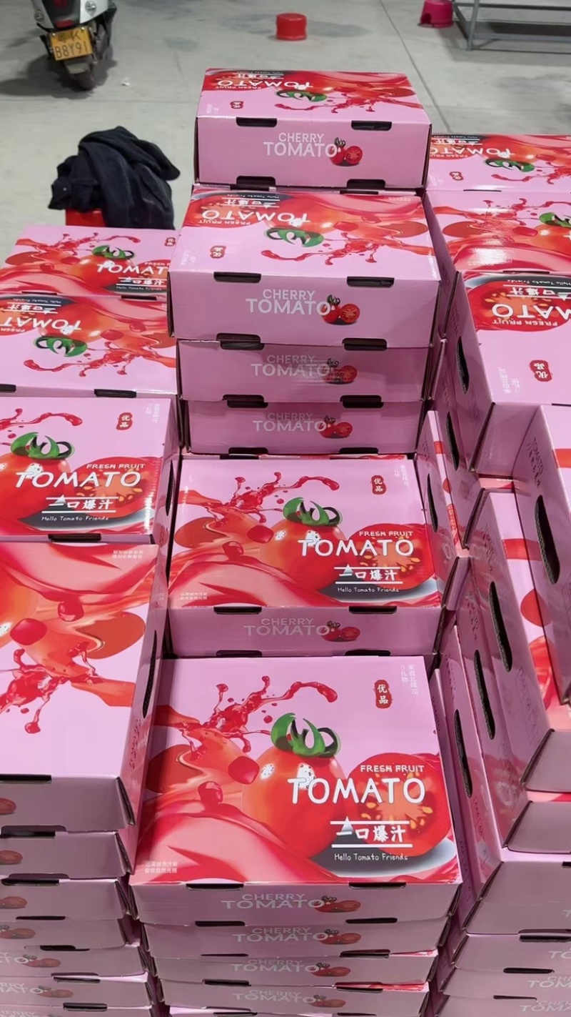 电白千禧果电白圣女果大量上市