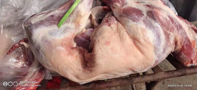 烤全羊8-15近山羊肉每天现杀纯干无水全国配送
