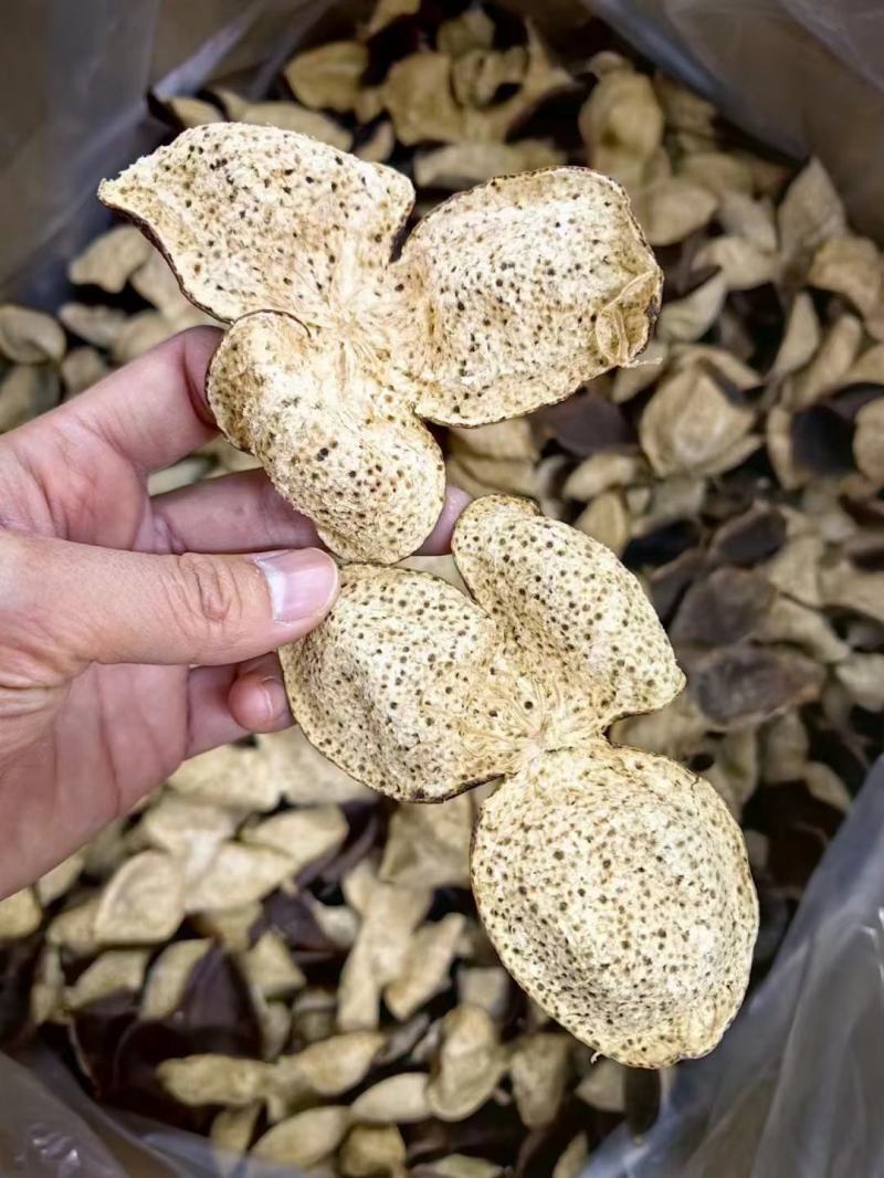 十年新会陈皮陈皮干老陈皮泡茶茶礼出厂价新会陈皮