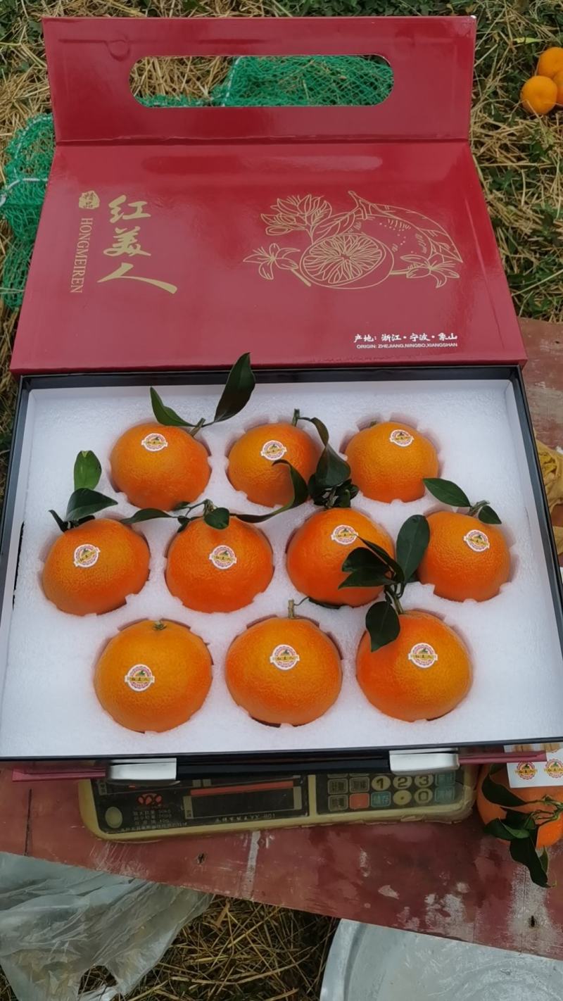 象山红美人