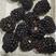 反季黑莓鲜果一手货源可对接全国采购商量大从优电联