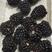 反季黑莓鲜果一手货源可对接全国采购商量大从优电联