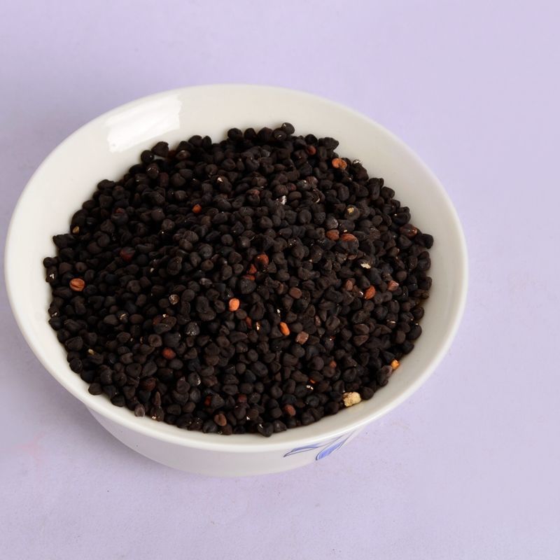 麦仙翁种子四季开不断耐旱易活室外庭院植物盆栽景观卉种子