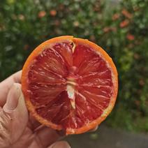 塔罗科血橙大量上市，皮薄多汁，味道纯甜，果面干净，颜色火