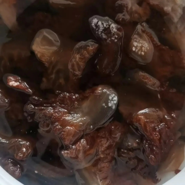 丹东东港当地海蜇/绵蜇大量有货规格齐全量大从优欢迎联系