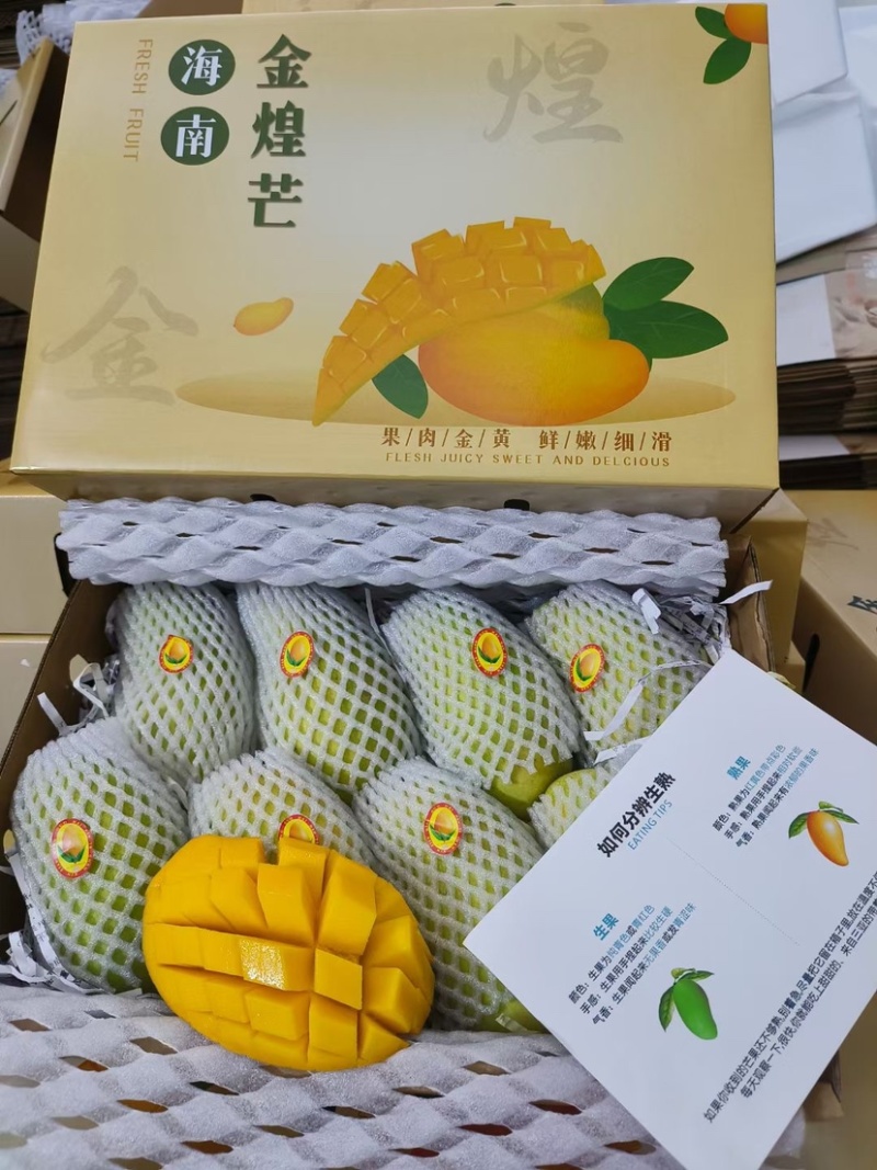 海南金煌芒