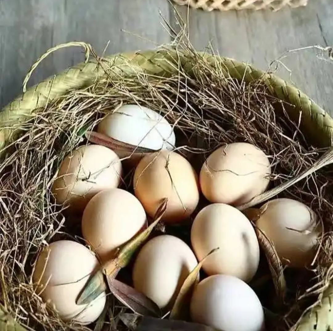 鸡蛋常温保存方法示意图