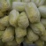 优质娃娃菜品质保证自产自销人工挑选量大优惠欢迎来电