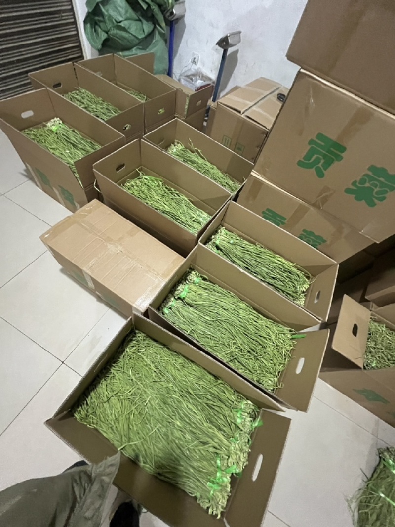 贡菜
