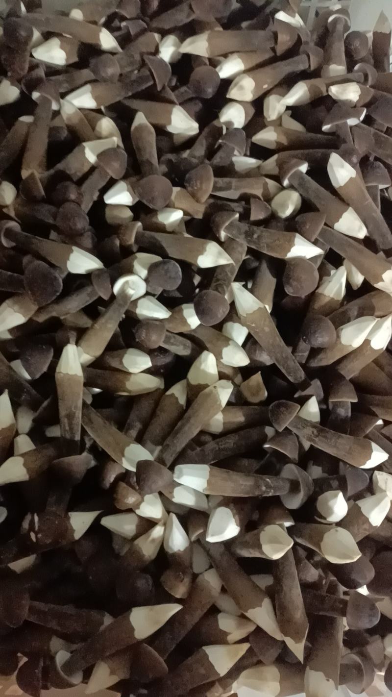黑皮鸡枞菌，常年供应，全国发货，专车，空运，顺丰等