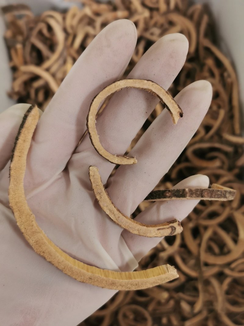 【合欢皮】无硫老树主干合欢皮无硫合欢皮中药材合欢皮包邮