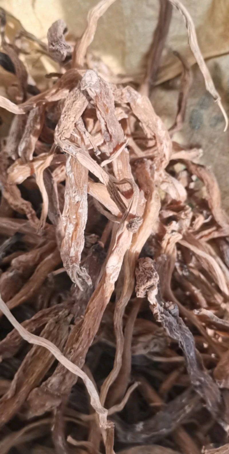 百部干货无加工自然晾晒货源充足产地直发欢迎联系