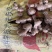 姜母老姜头