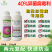 异菌腐霉利杀菌剂灰霉病正品店铺热销灰霉异菌脲腐霉利杀菌药