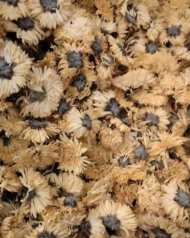 黄菊花