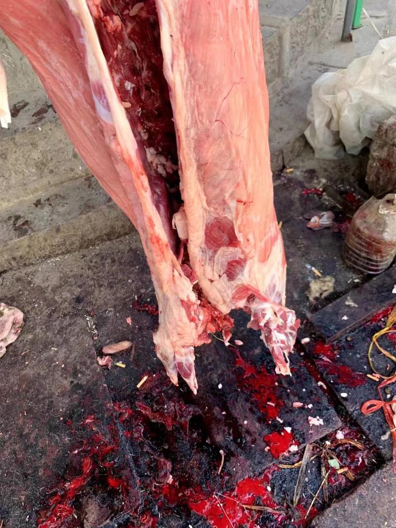 羊肉山羊肉剔骨精修无油30一斤，全国保鲜发货。