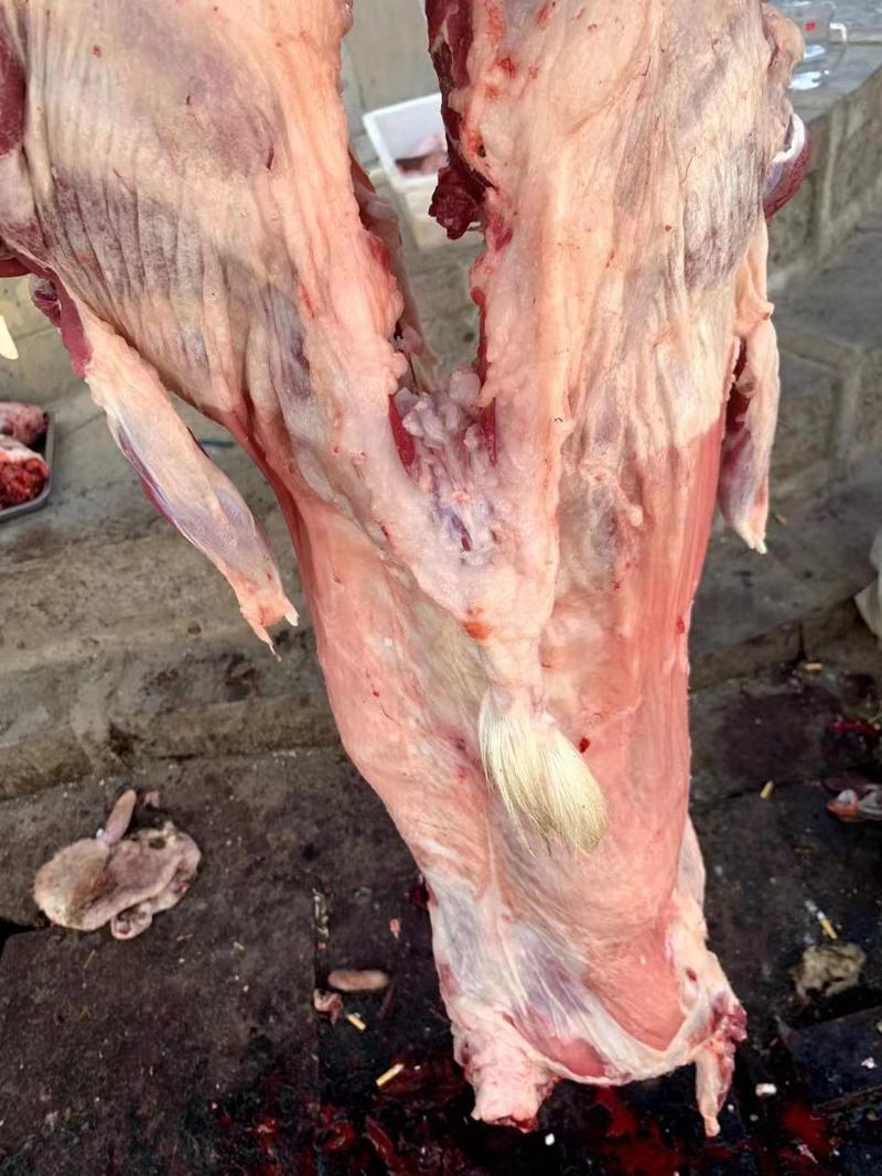 羊肉山羊肉剔骨精修无油30一斤，全国保鲜发货。