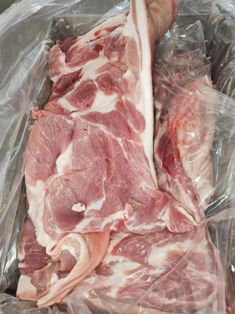 国产肥猪带皮前上肉前五花肉新货手续齐全厂家直发量大价优