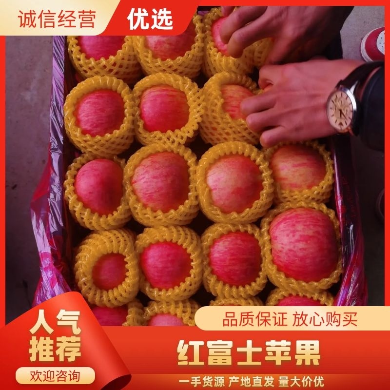 2025年陕西红富士苹果价格/库存红富士苹果产地直供