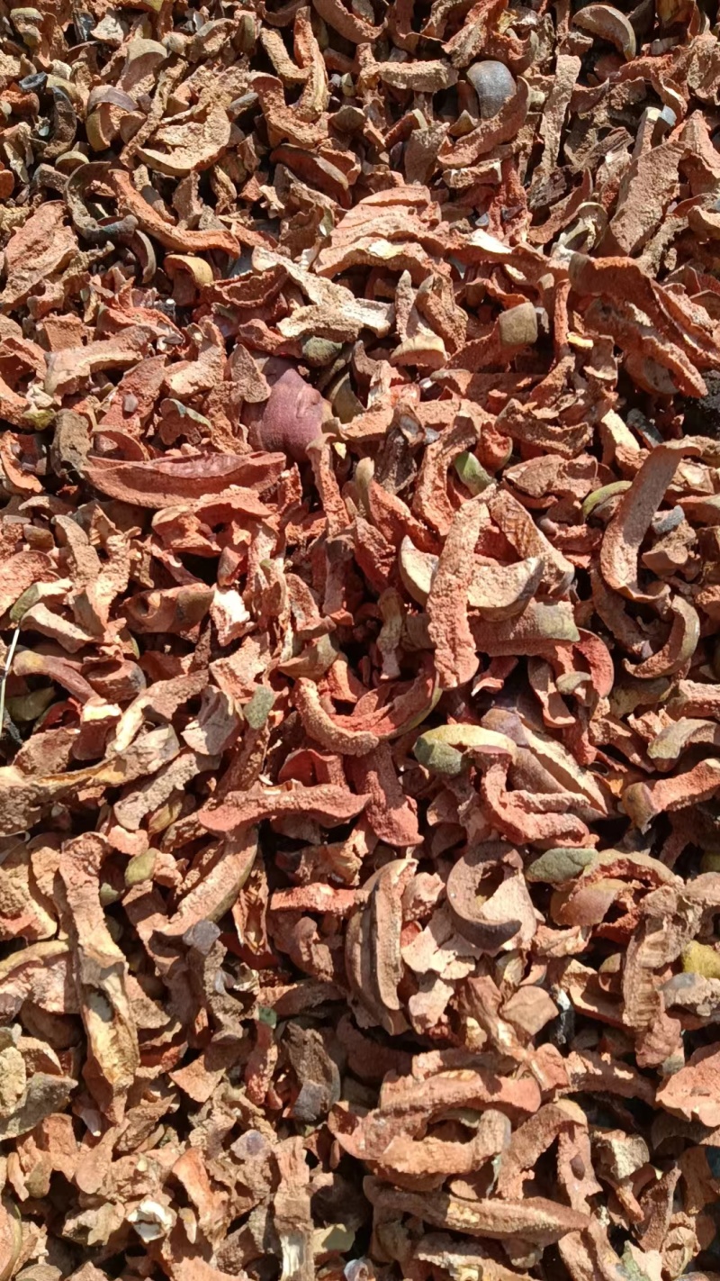平顶山舞钢市木瓜丝，大量供应，价格可商量有意者可电话详谈
