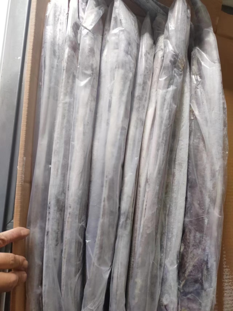 大带鱼钓带黄眼带鱼条冻带鱼700/1000100