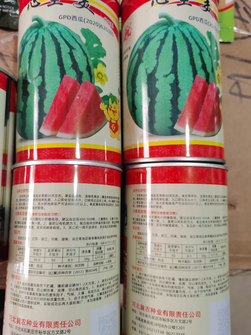 心里美西瓜种子全绿美都甜抗裂八成熟即大红瓤品质丰产