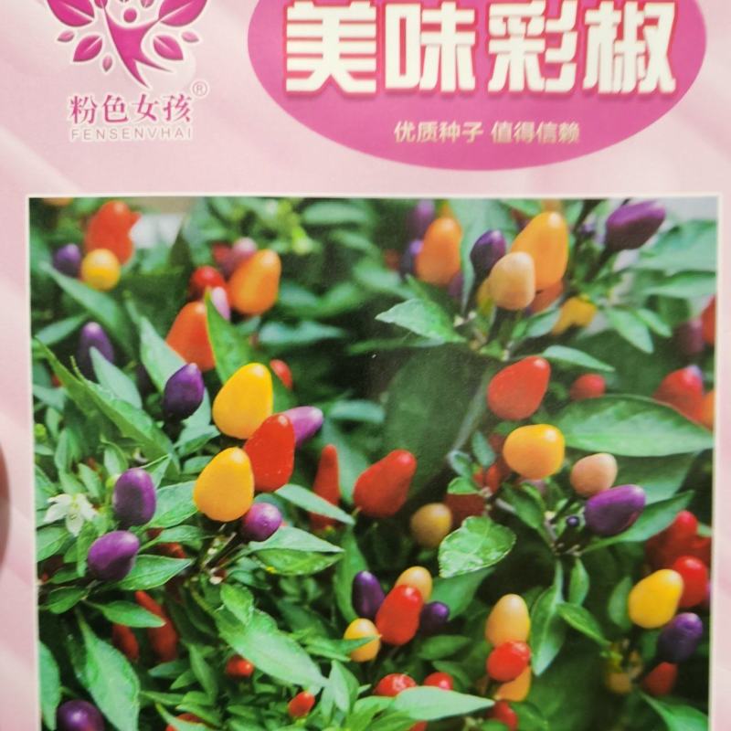 美味彩椒种子外型美观食用观赏椒美味彩椒种子外型美观