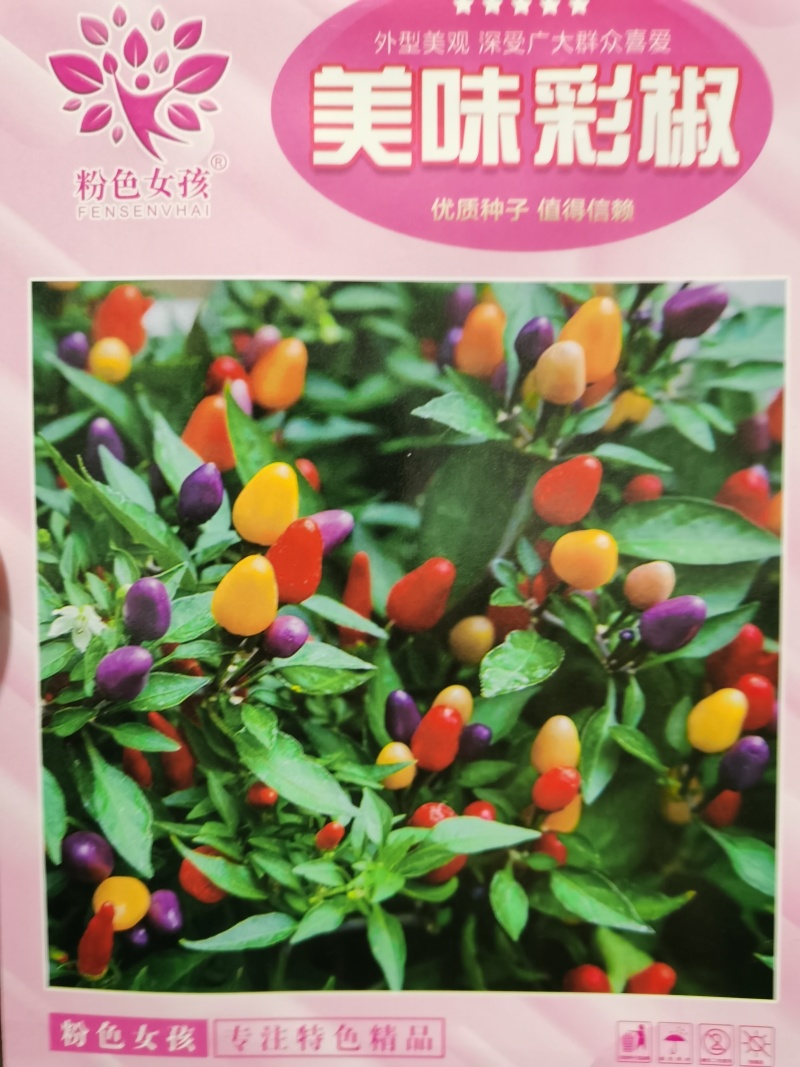 美味彩椒种子外型美观食用观赏椒美味彩椒种子外型美观
