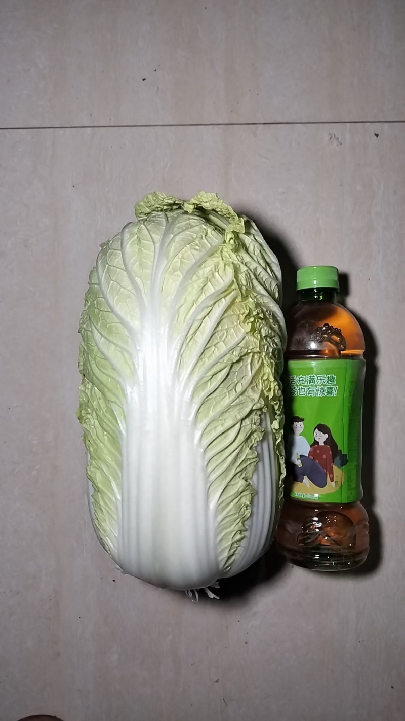 《自产自销》大娃娃菜周口娃娃菜规格齐全现货供应中