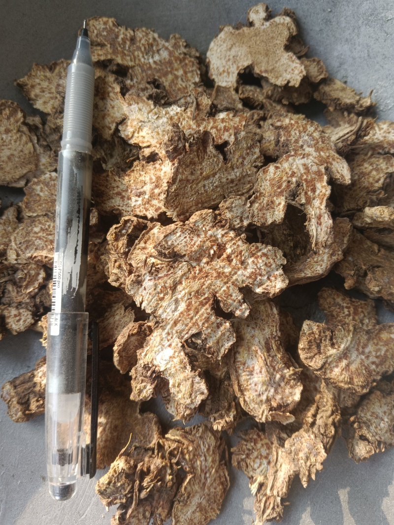 苍术，内蒙苍术朱砂点多新货无硫过四个筛有现货接单秒发货