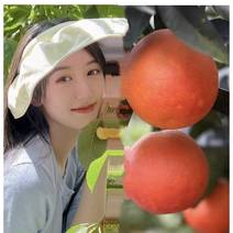 【精品推荐】四川正宗血橙，产地一手货源，对接全国各地客商