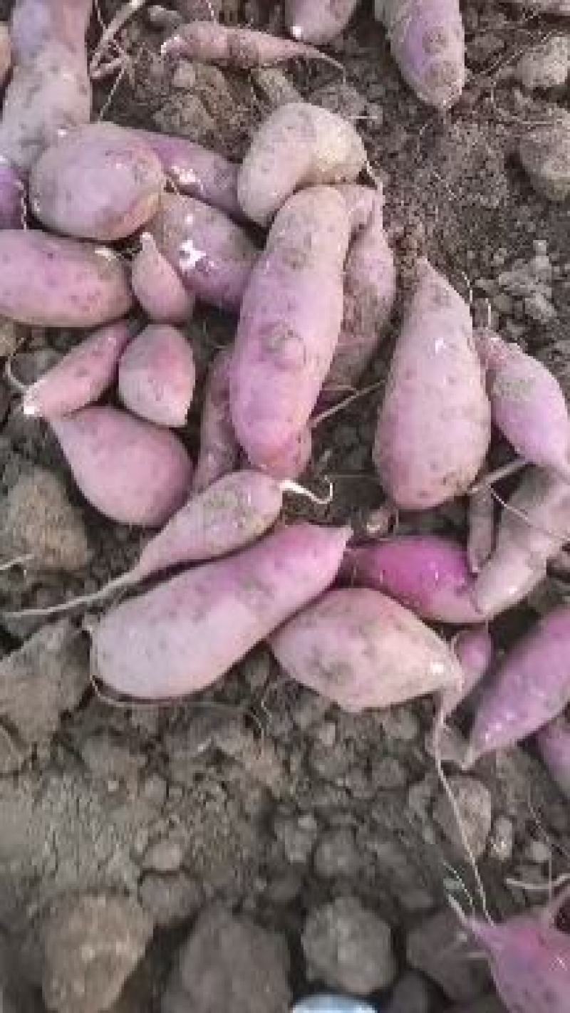 纯红薯淀粉