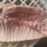 国产肥猪肋排毛肋排精肋排新货手续齐全厂家直发量大价优