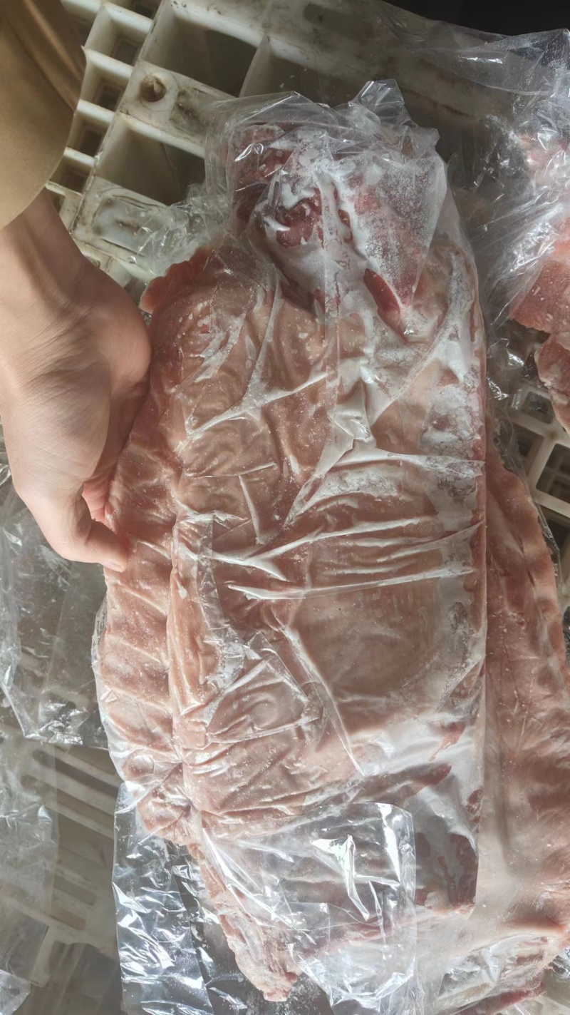 国产肥猪肋排毛肋排精肋排新货手续齐全厂家直发量大价优