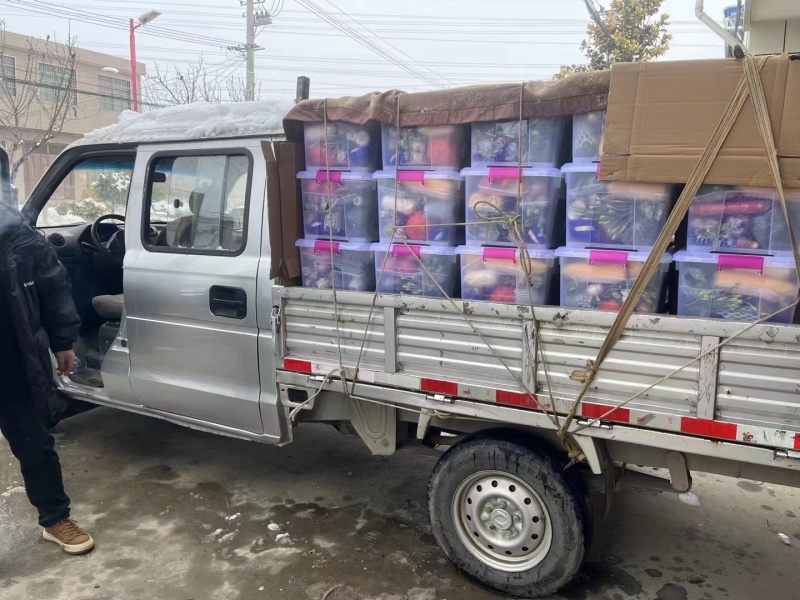 精品春节蔬菜包21种蔬菜现摘现装对接商超团购