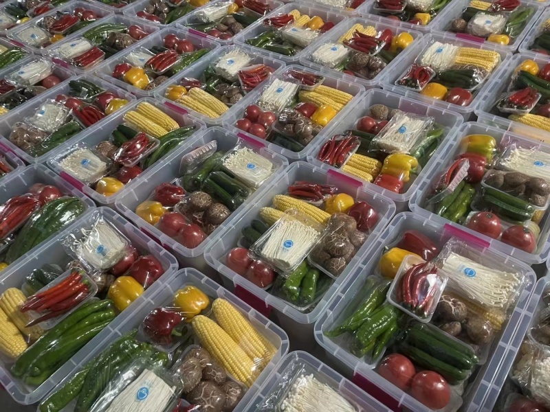 精品春节蔬菜包21种蔬菜现摘现装对接商超团购