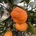 【一件代发】明日见柑橘皇后产地发货质量保证欢迎下单
