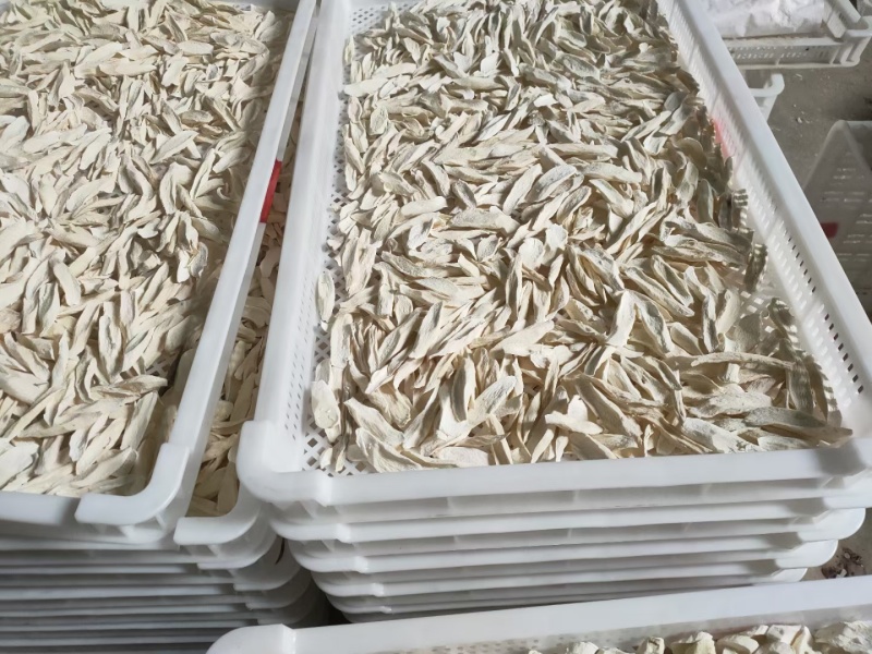 河南焦作温县垆土地铁棍山药片，新货上市，请需要的提前预定